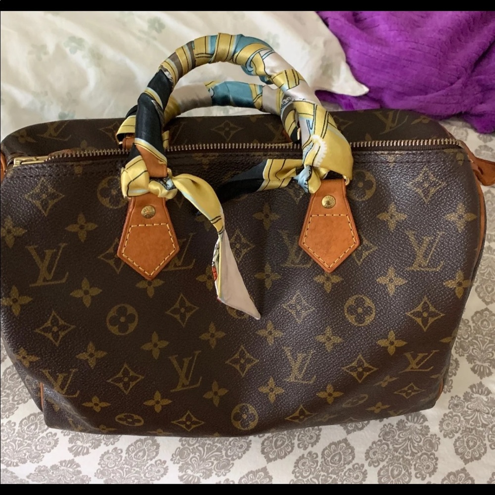 Louis vuitton speedy 30